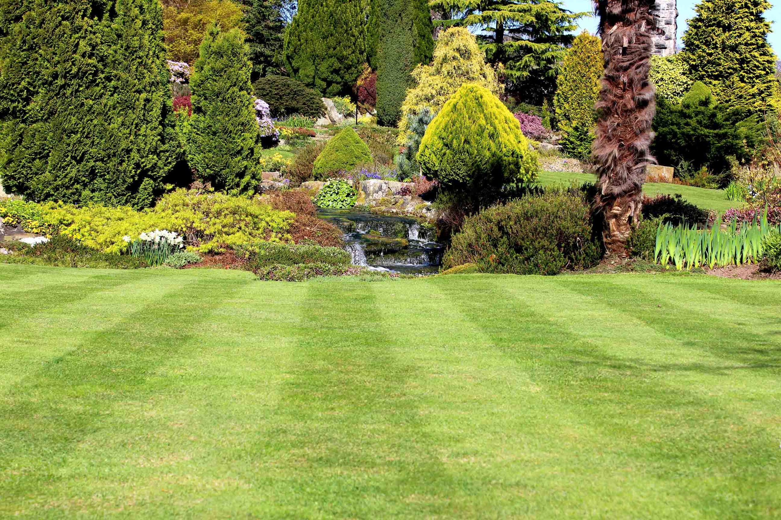 Reel_Mower_Stripes