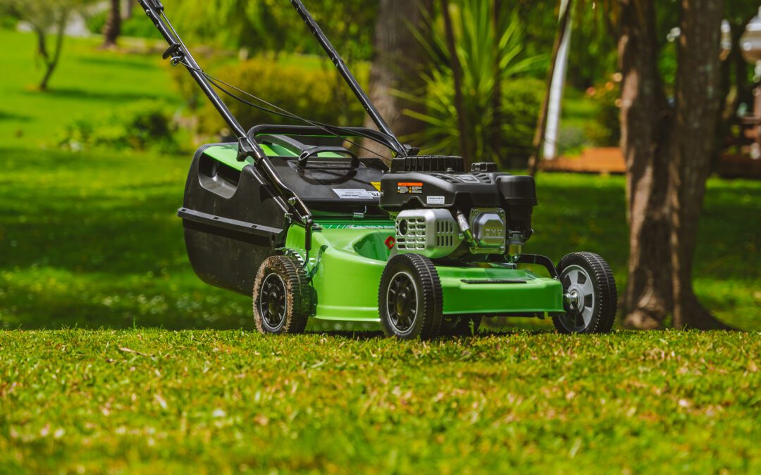 Your Next Lawn Mower: A Smarter Guide to Get the Best Deal